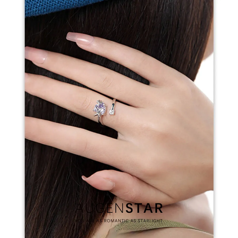 ASR | Light Luxury Four-pointed Star Accessories