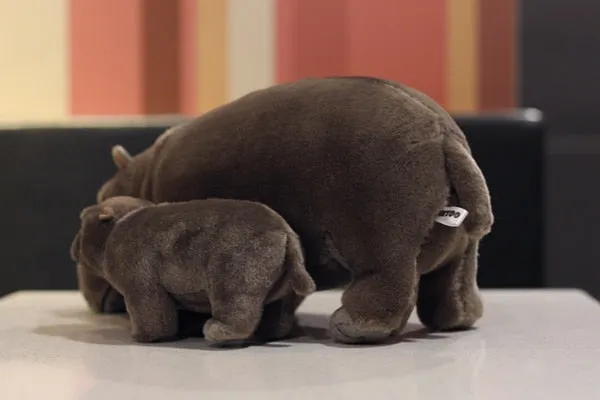 Brown Plush Hippo Stuffed Toy