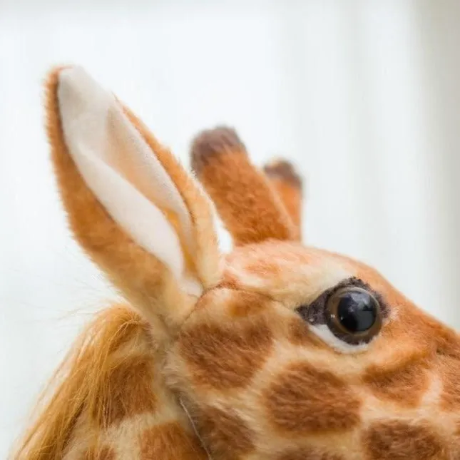 Giraffe Plush Toy