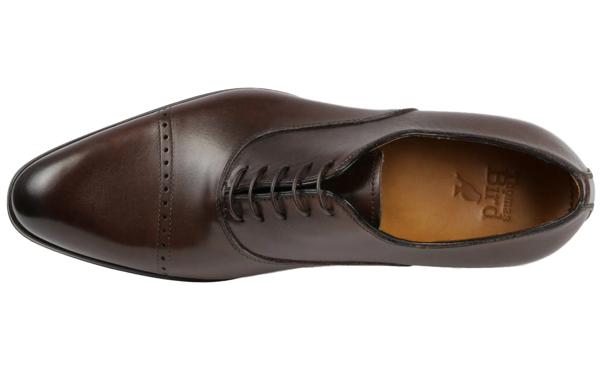 Harrow Cap Toe Oxford Brown