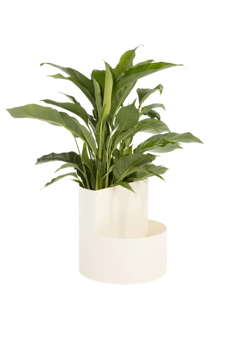 Owal Plant Pot