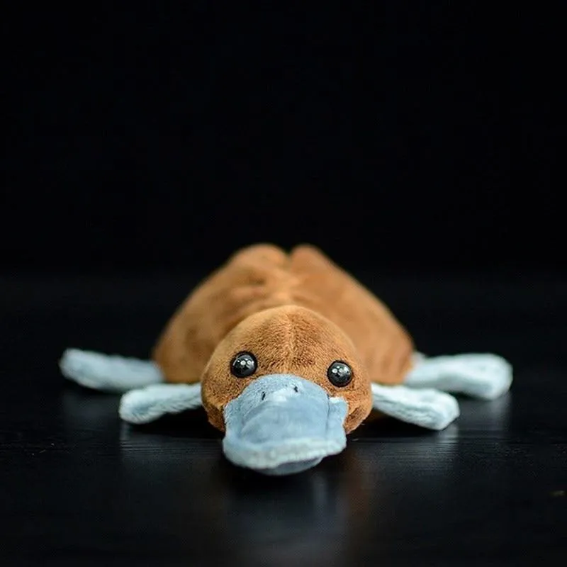 Platypus Plush Toy