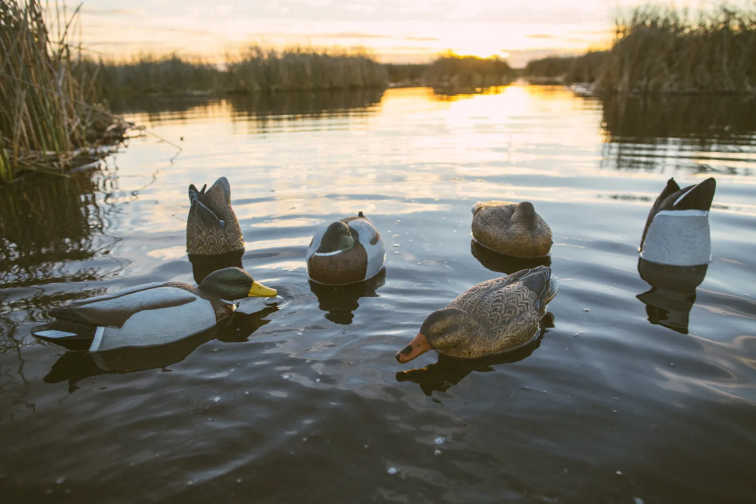 Pro Series Mallard Combo Pack